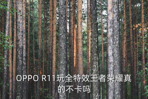 OPPO R11玩全特效王者荣耀真的不卡吗