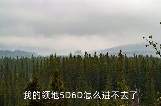 我的领地5D6D怎么进不去了