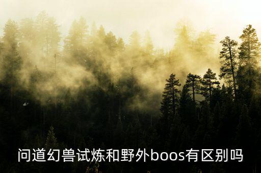 问道幻兽试炼和野外boos有区别吗