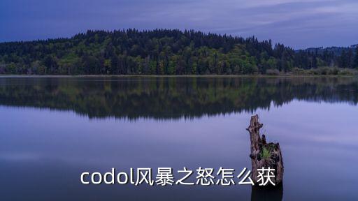 codol风暴之怒怎么获