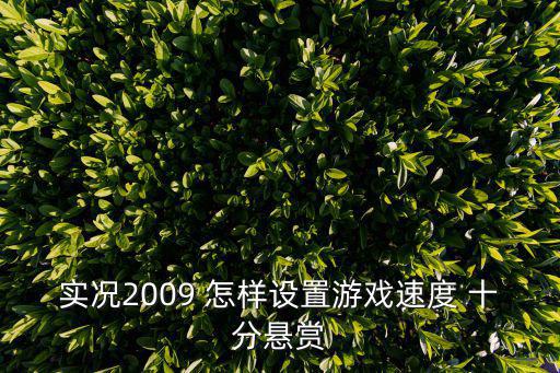 实况2009 怎样设置游戏速度 十分悬赏