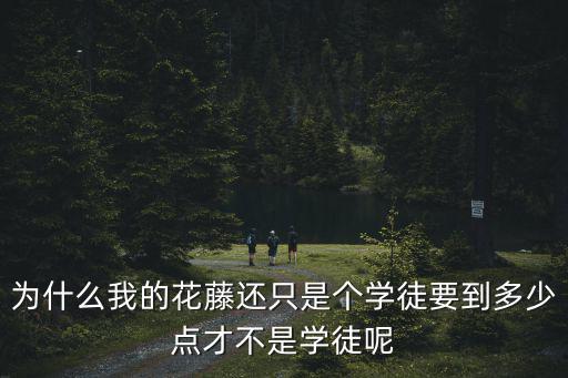 为什么我的花藤还只是个学徒要到多少点才不是学徒呢