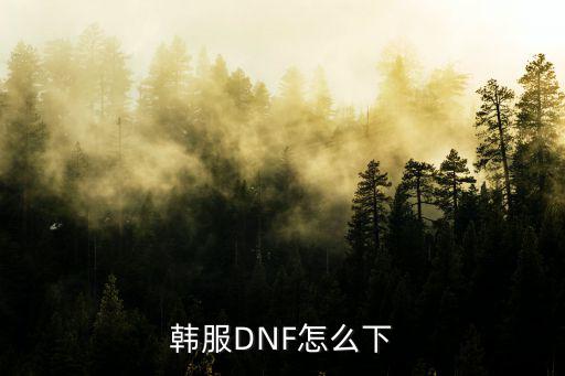 韩服DNF怎么下