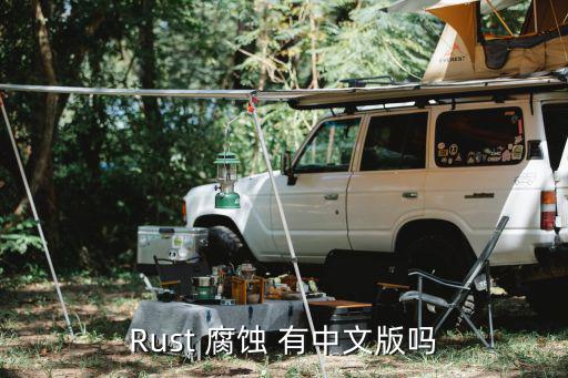 Rust 腐蚀 有中文版吗