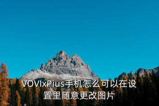 VOVIxPius手机怎么可以在设置里随意更改图片