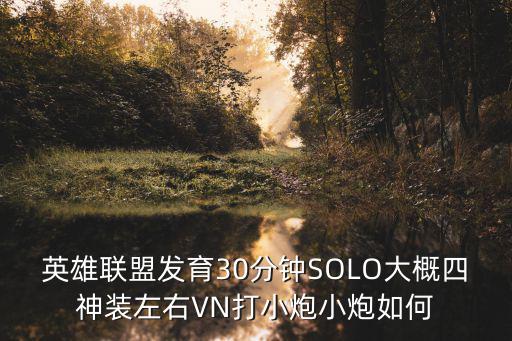 英雄联盟发育30分钟SOLO大概四神装左右VN打小炮小炮如何