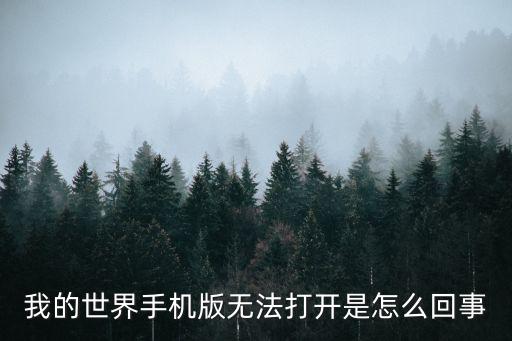 我的世界手机版无法打开是怎么回事