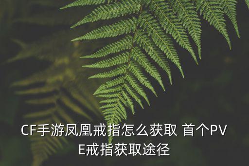 CF手游凤凰戒指怎么获取 首个PVE戒指获取途径