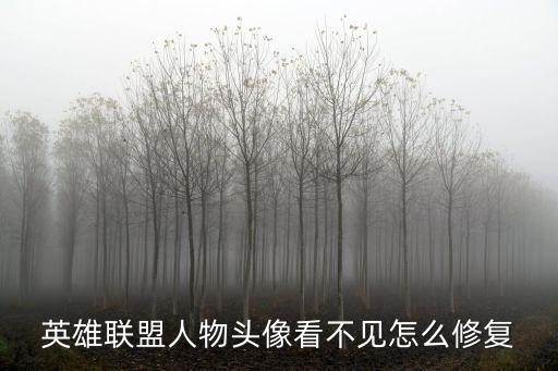 英雄联盟手游头像不显示怎么办，英雄联盟进去游戏后怎么不显示自己的头像了好别扭的感觉都看不