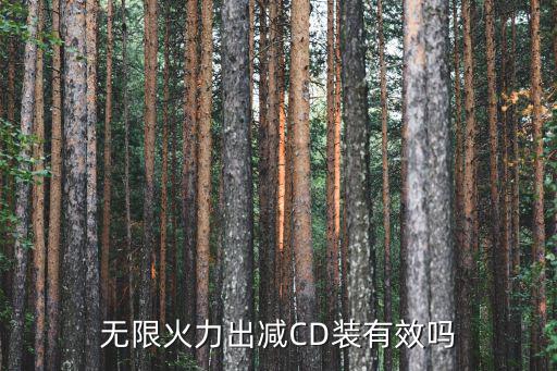 无限火力出减CD装有效吗