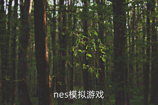 nes模拟游戏