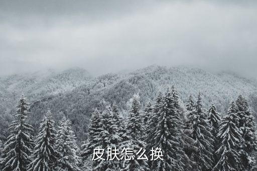 皮肤怎么换