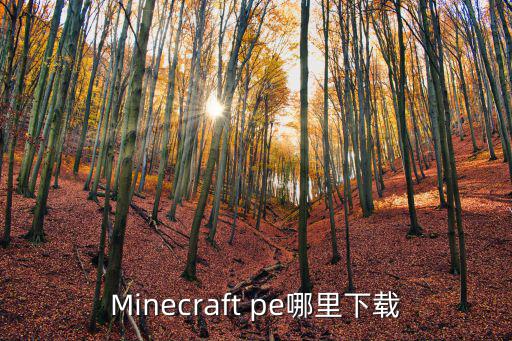 Minecraft pe哪里下载