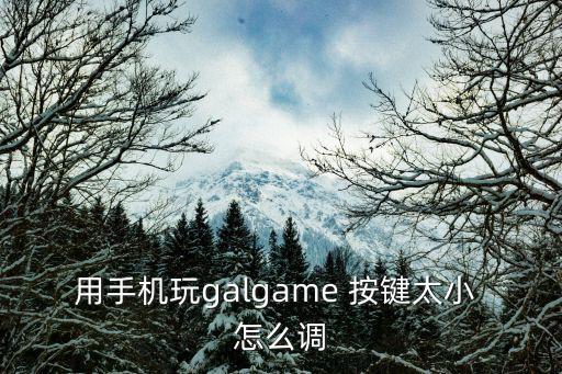 用手机玩galgame 按键太小 怎么调