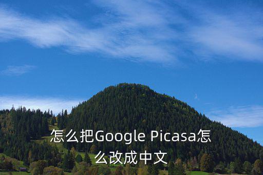 怎么把Google Picasa怎么改成中文