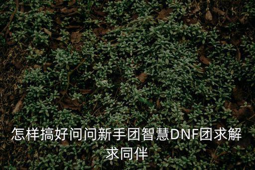 怎样搞好问问新手团智慧DNF团求解求同伴