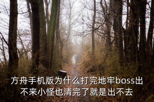 方舟手机版为什么打完地牢boss出不来小怪也清完了就是出不去