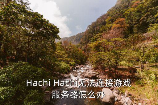 Hachi Hachi无法连接游戏服务器怎么办