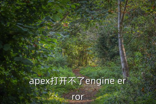 apex打开不了engine error