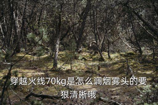 穿越火线70kg是怎么调烟雾头的要狠清晰哦