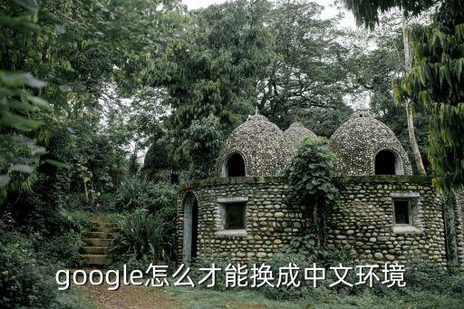google怎么才能换成中文环境