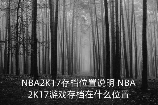 NBA2K17存档位置说明 NBA2K17游戏存档在什么位置