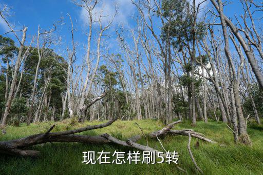 奥拉星手游五转神器怎么获得，奥拉星新手任务神器的道具怎样完成