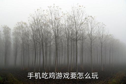 手机吃鸡游戏要怎么玩