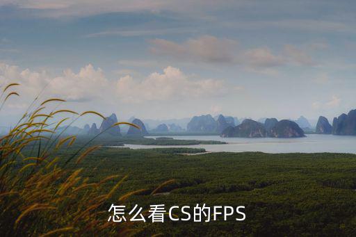 手游和平精英怎么打开帧数显示，怎么看CS的FPS