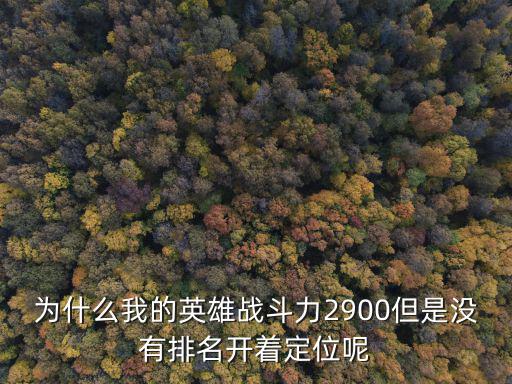 为什么我的英雄战斗力2900但是没有排名开着定位呢