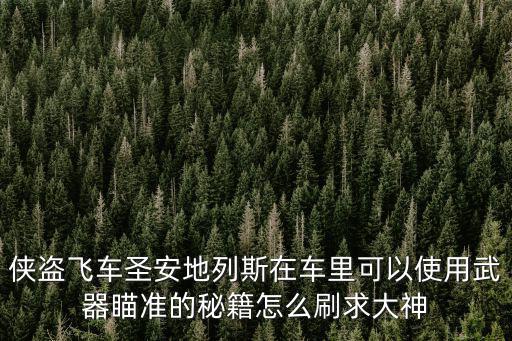 侠盗飞车圣安地列斯在车里可以使用武器瞄准的秘籍怎么刷求大神