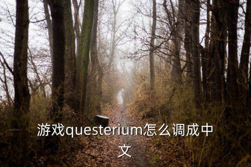 游戏questerium怎么调成中文