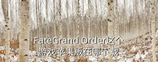 FateGrand Order这个游戏苹果版在哪下载