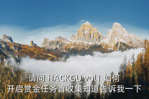 请问 HACKGU vol1 如何开启赏金任务首收集知道告诉我一下