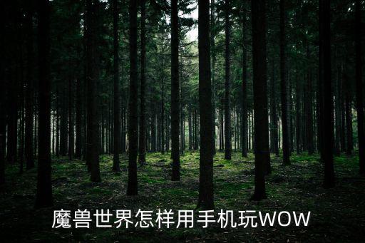 魔兽世界怎样用手机玩WOW