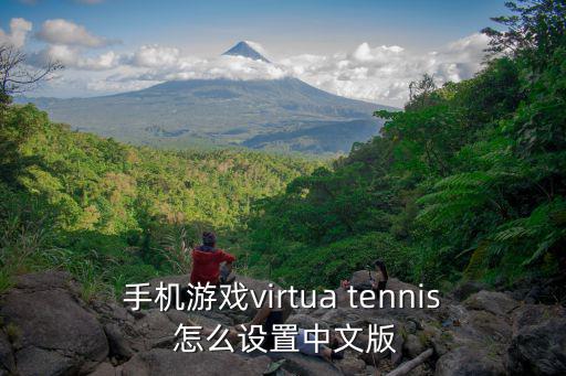 手机游戏virtua tennis 怎么设置中文版