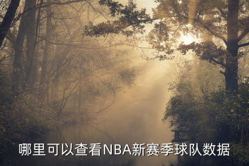 哪里可以查看NBA新赛季球队数据