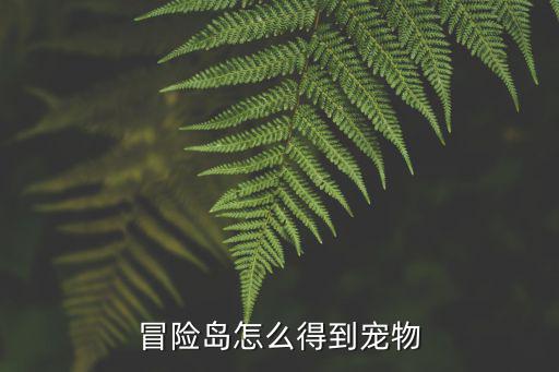 冒险岛怎么得到宠物