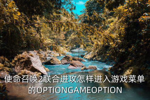 使命召唤2联合进攻怎样进入游戏菜单的OPTIONGAMEOPTION