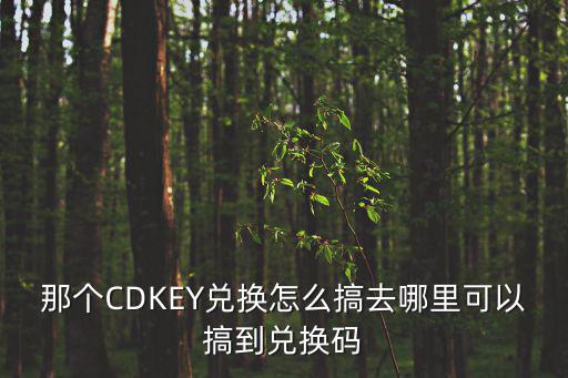 那个CDKEY兑换怎么搞去哪里可以搞到兑换码