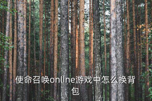 使命召唤online游戏中怎么换背包