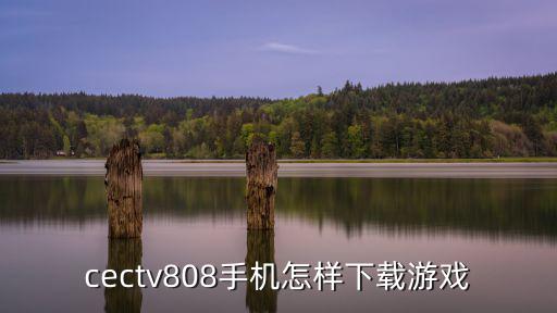 cectv808手机怎样下载游戏