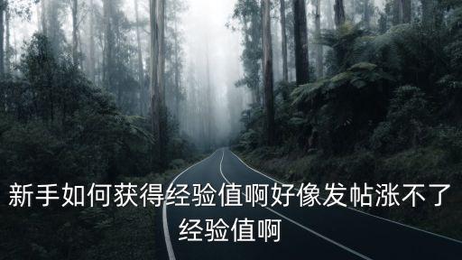 龙珠觉醒手游怎么刷经验，我玩手游注重的就是升级了不知道四大萌捕获得经验的方法有那些啊