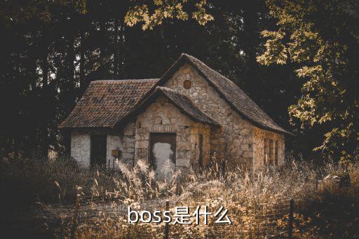 boss是什么