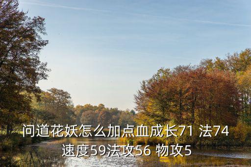 问道花妖怎么加点血成长71 法74 速度59法攻56 物攻5