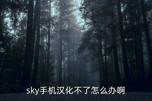 sky手机汉化不了怎么办啊