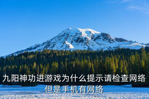 九阳神功进游戏为什么提示请检查网络但是手机有网络