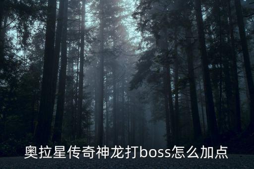 奥拉星传奇神龙打boss怎么加点