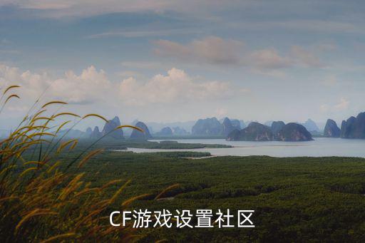 CF游戏设置社区