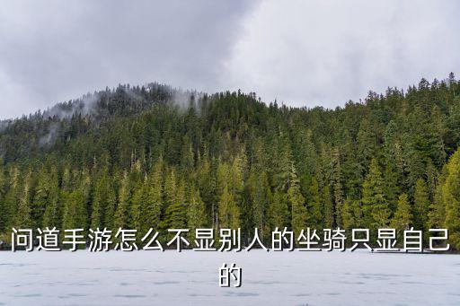 问道手游怎么不显别人的坐骑只显自己的